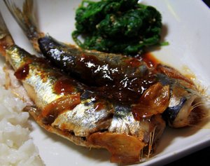 20090920_iwashishougani1